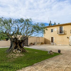 Veranstaltung: ArtCava: Visita a los viñedos y bodegas, ArtCava – Celler Can Batlle in Avinyonet del Penedès