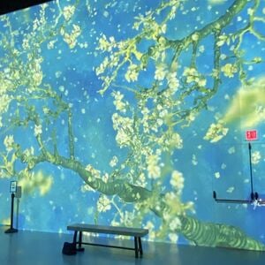 Veranstaltung: Exhibition Hub Art Center Atlanta: Van Gogh - The Immersive Experience, Exhibition Hub Art Center Atlanta in Doraville
