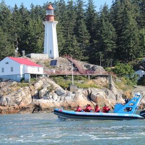 Veranstaltung: City and Seal Cruise from Vancouver, Vancouver Boat Tours in Vancouver