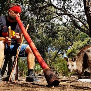 Veranstaltung: Around the Bay: Sightseeing & Cruise Day Tour in Melbourne, Mornington Peninsula Day Trips from Melbourne in Melbourne