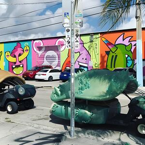 Veranstaltung: French Street Art Tour in Wynwood, Miami, 2230 NW 2nd Ave in Miami