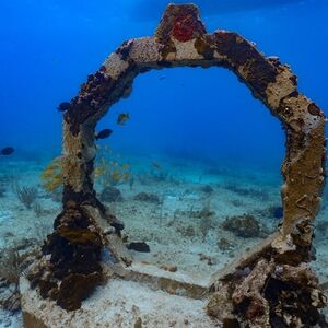 Veranstaltung: Museo Subacuático de Arte de Cancún y Arrecife de Coral Manchones: Excursión de snorkel, Cancún Water Sports in Cancún