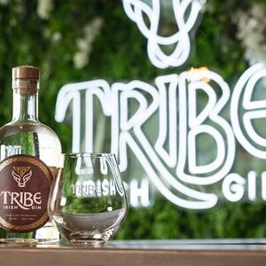 Veranstaltung: Tribe Gin School Experience in Galway, 139 Upper Salthill Rd in Galway