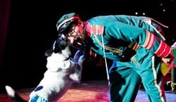 Veranstaltung: V Theater Las Vegas: Popovich Comedy Pet Theater, Las Vegas in las vegas