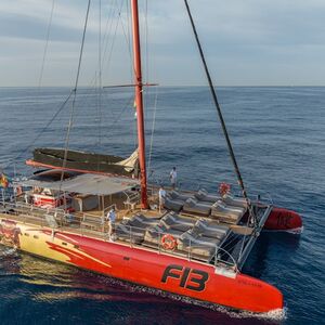 Veranstaltung: Tenerife: Excursión de 3 horas para avistar ballenas y delfines, Tenerife Sailing Tours in Costa Adeje