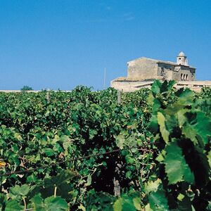 Veranstaltung: Degustazione di vini nella storica Cantina Alagna a Marsala, Cantina Alagna Vini in Marsala