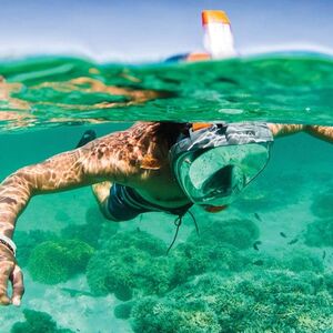 Veranstaltung: Palma de Mallorca: Excursión de 3 horas en barco para avistar delfines + baño y snorkel, Mallorca Boat Trips in Palma de Mallorca