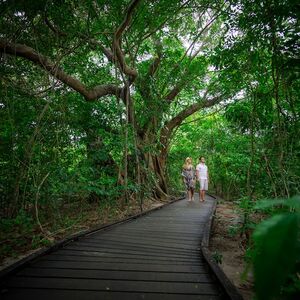 Veranstaltung: Green Island Tour: Catamaran Cruise from Cairns, Green Island in Cairns