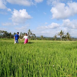 Veranstaltung: Ubud & Batur Volcano Scenic Private Tour, Ubud Palace in Ubud