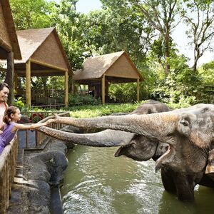 Veranstaltung: Singapore Zoo: Entry Ticket + Roundtrip Transport, Singapore Zoo in Singapore