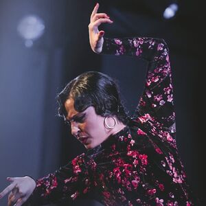 Veranstaltung: Espectáculo Flamenco Tradicional en Casa Ana Granada, Tablao Flamenco Casa Ana Granada in Granada