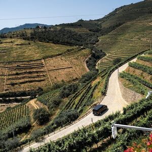 Veranstaltung: Vale do Douro: Tour de vinhos premium saindo do Porto em um pequeno grupo, Douro Valley Day Trips from Porto in Porto