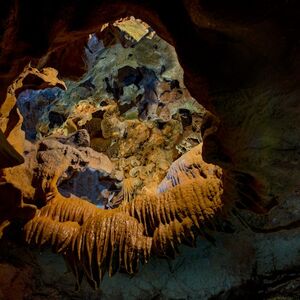 Veranstaltung: Cuevas de San José: Entrada + Tour guiado + Transporte de viaje de ida y vuelta, San José Caves in València