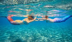 Veranstaltung: West Palm Beach: Become A Mermaid, in Riviera Beach, Florida