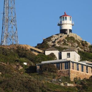 Veranstaltung: Boulders Beach & Cape Point: Half-Day Tour, Day Trips from Cape Town in Cape Town