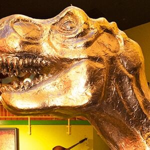 Veranstaltung: Branson: Ripley's Believe It or Not!, Ripley's Believe It or Not! Branson in Branson