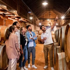 Veranstaltung: Toledo: Visita a la Ciudad y Bodegas desde Madrid + Cata de Vinos, Day Trips from Madrid in Madrid