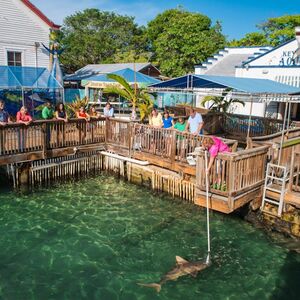 Veranstaltung: Key West Aquarium: Entry Ticket, Key West Aquarium in Key West