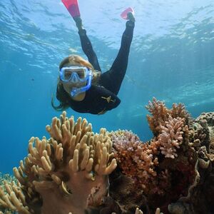 Veranstaltung: Outer Reef Cruise and Activity Platform from Port Douglas, Agincourt Reefs in Port Douglas