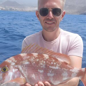 Veranstaltung: World Class Fishing Charter Trip in Tenerife, Av. de Colón, 4 in Tenerife