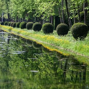 Veranstaltung: Château de Chantilly : Entrée des jardins uniquement, Château de Chantilly in Chantilly