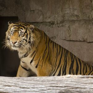 Veranstaltung: Entradas para el Zoo de Barcelona, Barcelona Zoo in Barcelona