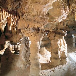 Veranstaltung: Grotte di Toirano: Biglietto Fast Track, Toirano Caves in Toirano