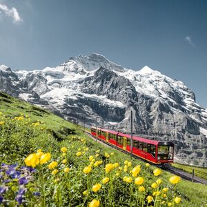 Veranstaltung: Train Ride: Interlaken Ost - Jungfraujoch Top of Europe, Day Trips from Interlaken in Interlaken