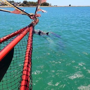 Veranstaltung: Pirate Cruise, Pirate Ship Mandurah in Mandurah