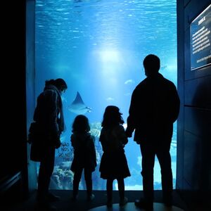 Veranstaltung: Oceanário de Lisboa: Tour guiado privado, Oceanário de Lisboa in Lisbon