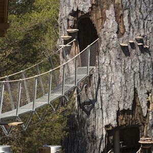 Veranstaltung: Wild Center: Tupper Lake, The Wild Center in Tupper Lake