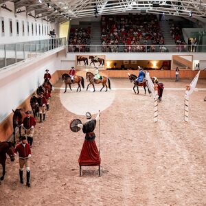 Veranstaltung: Escola Portuguesa de Arte Equestre: Treinamento Matinal, Portuguese School of Equestrian Art in Lisbon