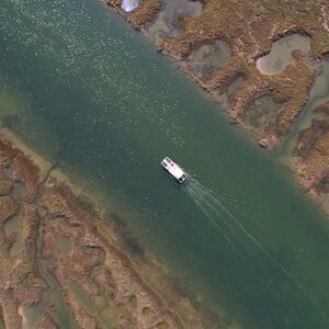 Veranstaltung: Ria Formosa: Passeio de barco ecológico solar a partir de Faro, Faro Cruises in Faro