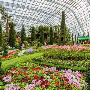 Veranstaltung: Gardens by the Bay: Flower Dome & Cloud Forest (Optional), Gardens by the Bay in Singapore