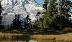 Veranstaltung: Mt. Rainier: All-Inclusive Small-Group Day Trip from Seattle, Mt. Rainier National Park in Seattle
