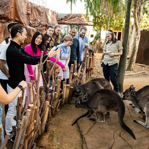 Veranstaltung: Wild Life Sydney Zoo: Guided Tour, WILD LIFE Sydney zoo in Sydney