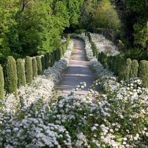 Veranstaltung: Castello di Masino: Biglietto d'ingresso, Masino Castle in Caravino