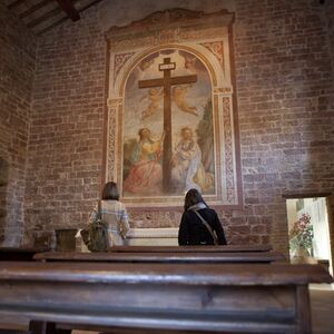 Veranstaltung: Bosco di San Francesco: Biglietto d'ingresso, Bosco di San Francesco in Assisi