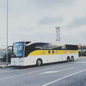 Veranstaltung: Civitavecchia: Bus navetta da / per Roma, Public Transport Rome in Rome