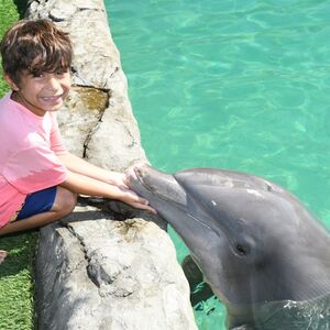 Veranstaltung: Miami Seaquarium: Meet A Dolphin + Park Admission, Miami Seaquarium in Miami