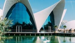 Veranstaltung: Oceanogràfic de Valencia: Entrada, Oceanogràfic de Valencia in València
