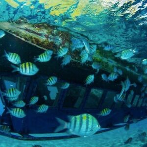 Veranstaltung: Cancún: Excursión de exploración submarina en barco con fondo de cristal y barra libre, Cancún Water Sports in Cancún