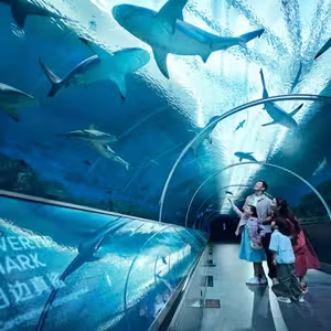 Veranstaltung: Singapore Oceanarium: Entry Ticket, Singapore Oceanarium in Singapore