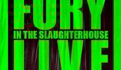 Event: Fury in the Slaughterhouse - Fury Live Twenty Five, Kloster Schiffenberg in Gießen