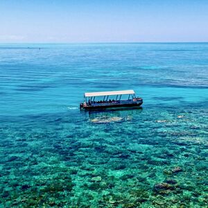 Veranstaltung: Ocean Freedom Great Barrier Reef Tour, Cairns Cruises in Cairns