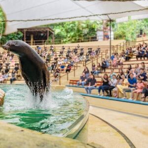 Veranstaltung: Singapore Zoo: Entry Ticket, Singapore Zoo in Singapore