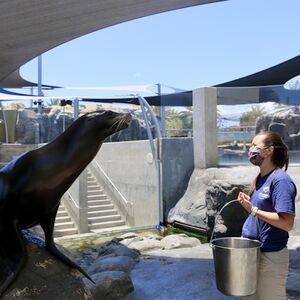 Veranstaltung: Aquarium of the Pacific: Membership Voucher, Aquarium of the Pacific in Long Beach