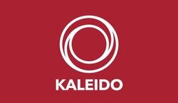 Veranstaltung: Kaleido 2026 Festival Pass, Volume Village in Aarhus C