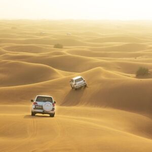 Veranstaltung: Dubai: Full Day Morning City Tour with Transport and Sunset Desert Safari, Dubai Desert Safari in Dubai