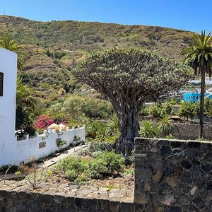 Veranstaltung: Parque Nacional del Teide, Teide y Masca: Excursión guiada, Mount Teide National Park in Tenerife